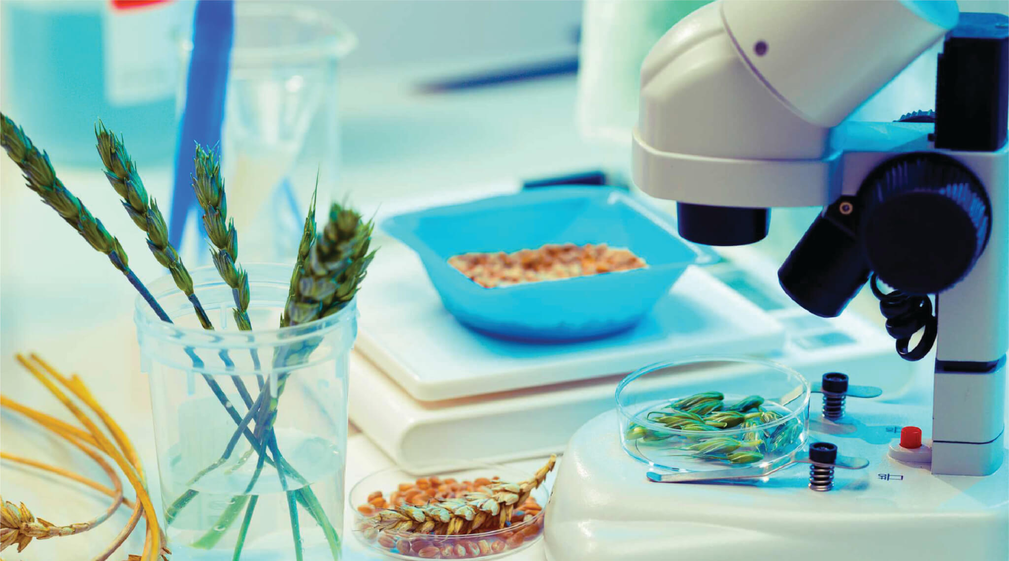 Optimizing & Protecting Your Brand - Baxter's North America